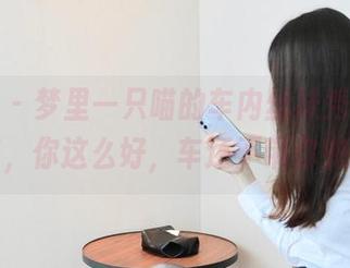 微密圈 – 梦里一只喵的车内丝袜秀，图集分享，你这么好，车还不带你兜风？