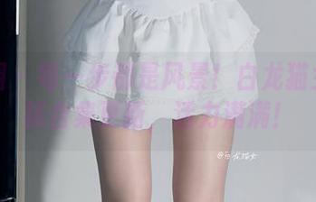微密圈 – 每一步都是风景！白龙猫女珠光袜合集更新，活力满满！