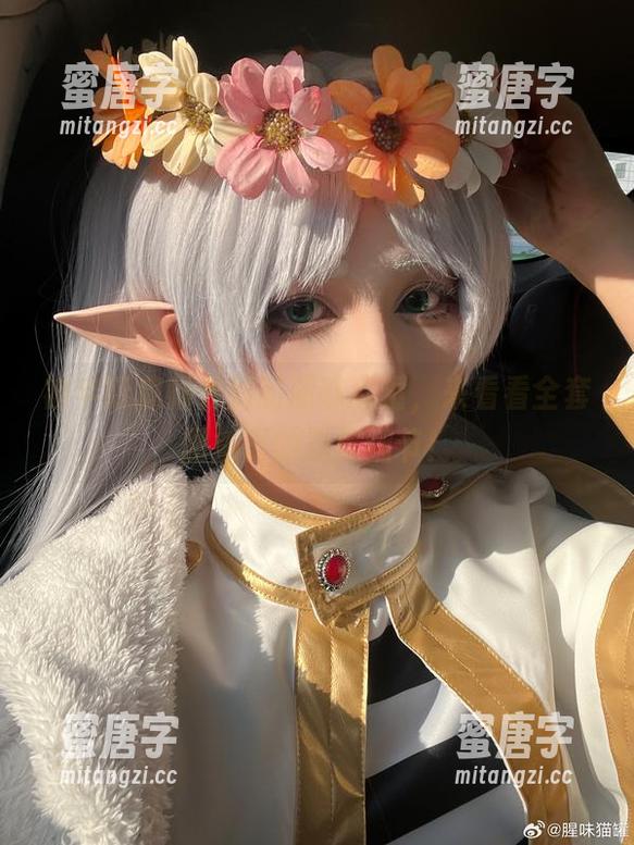 腥味猫罐 被半妖庭师惊到的腥味猫罐,来看看全套图集里的隐秘细节!
